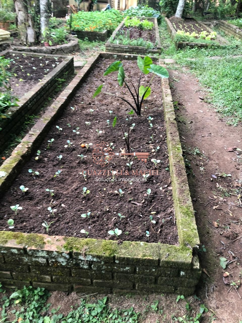 sitio em GABRIEL PIZA, SÃO ROQUE - Foto 30