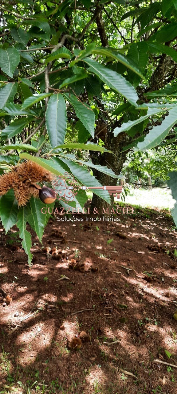 Chácara em GABRIEL PIZA, SÃO ROQUE - Foto 26