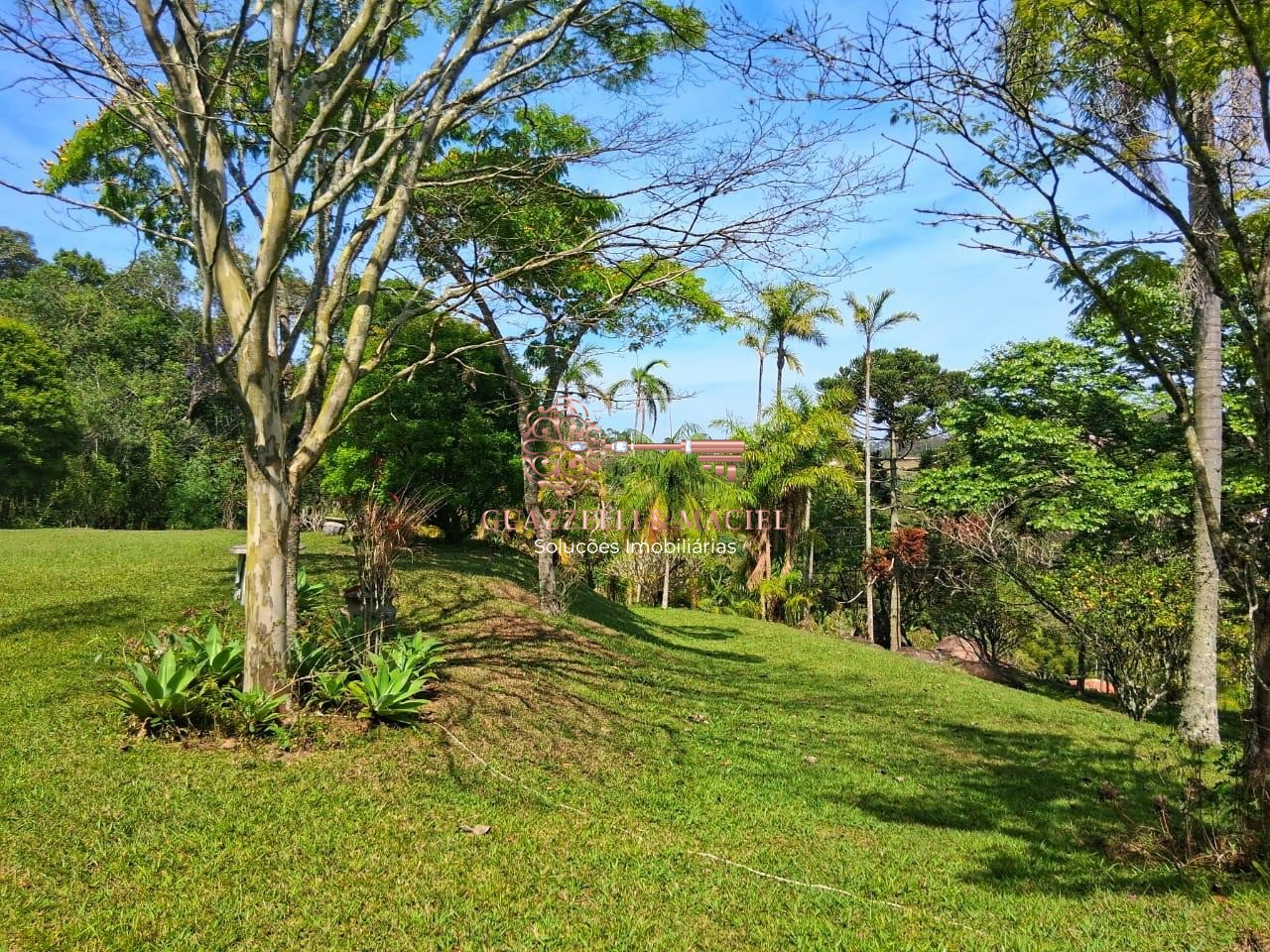 sitio em SOROCAMIRIM (CANGUERA), SÃO ROQUE - Foto 17