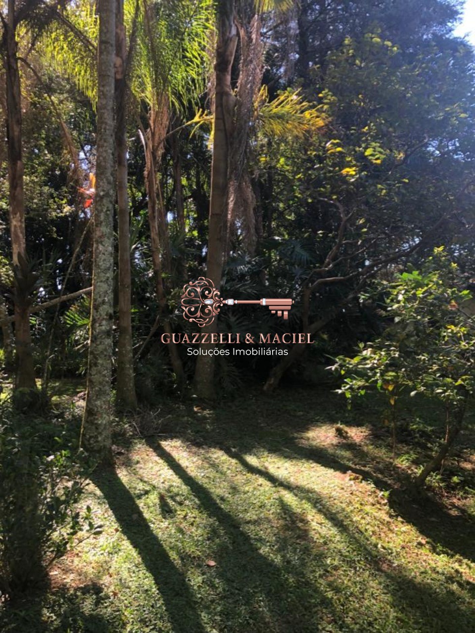 sitio em GABRIEL PIZA, SÃO ROQUE - Foto 23