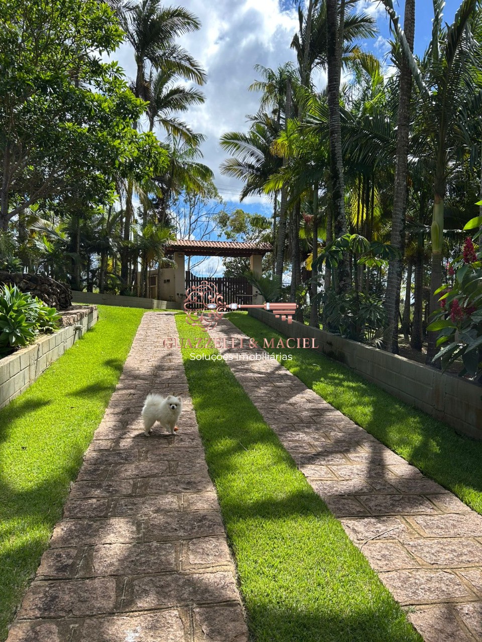 Chácara em Jardim Flora, MAIRINQUE - chacara em Jardim Flora - Foto 18