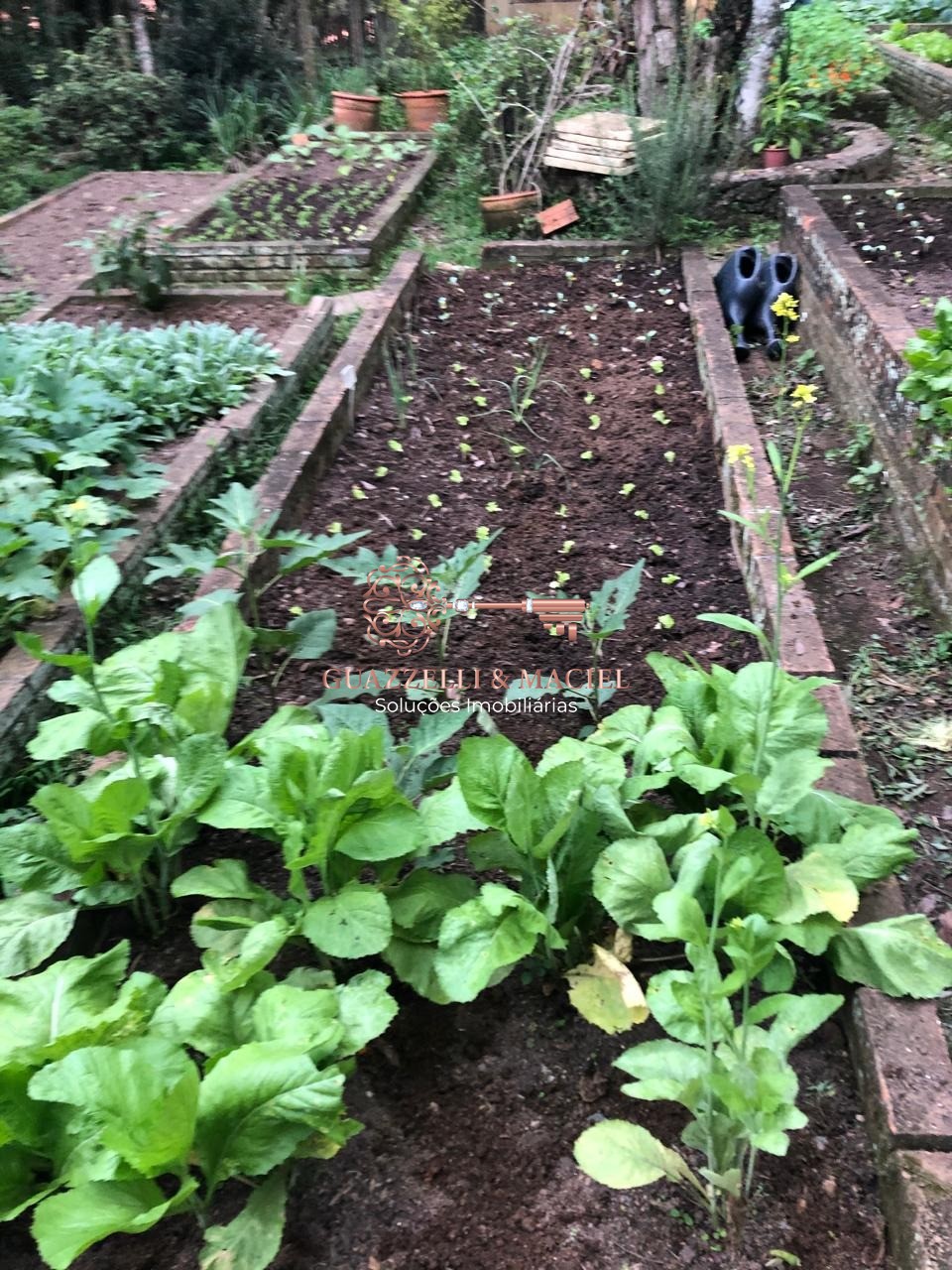 sitio em GABRIEL PIZA, SÃO ROQUE - Foto 13