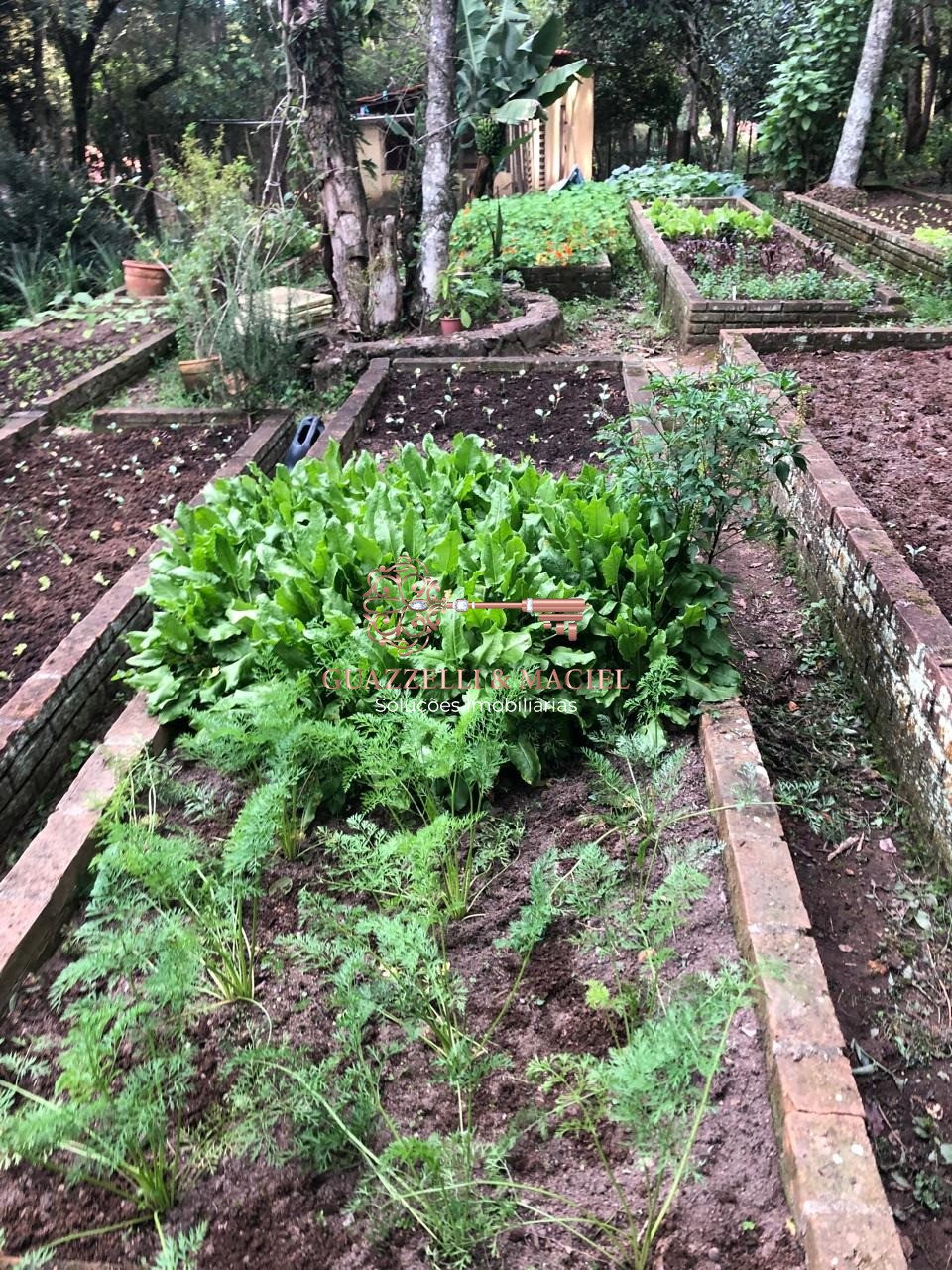 sitio em GABRIEL PIZA, SÃO ROQUE - Foto 2