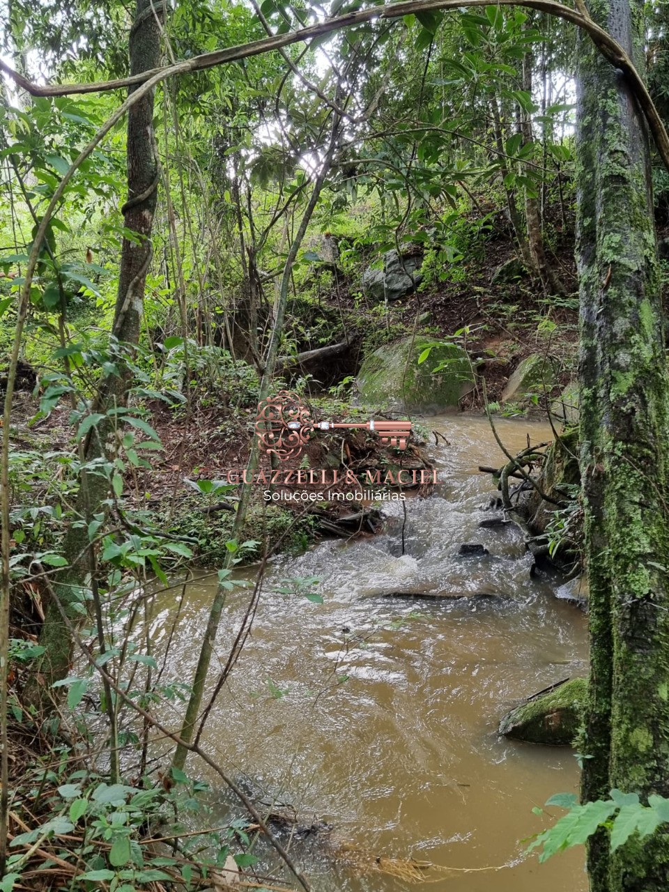 area em SOROCAMIRIM (CANGUERA), SÃO ROQUE - Foto 16