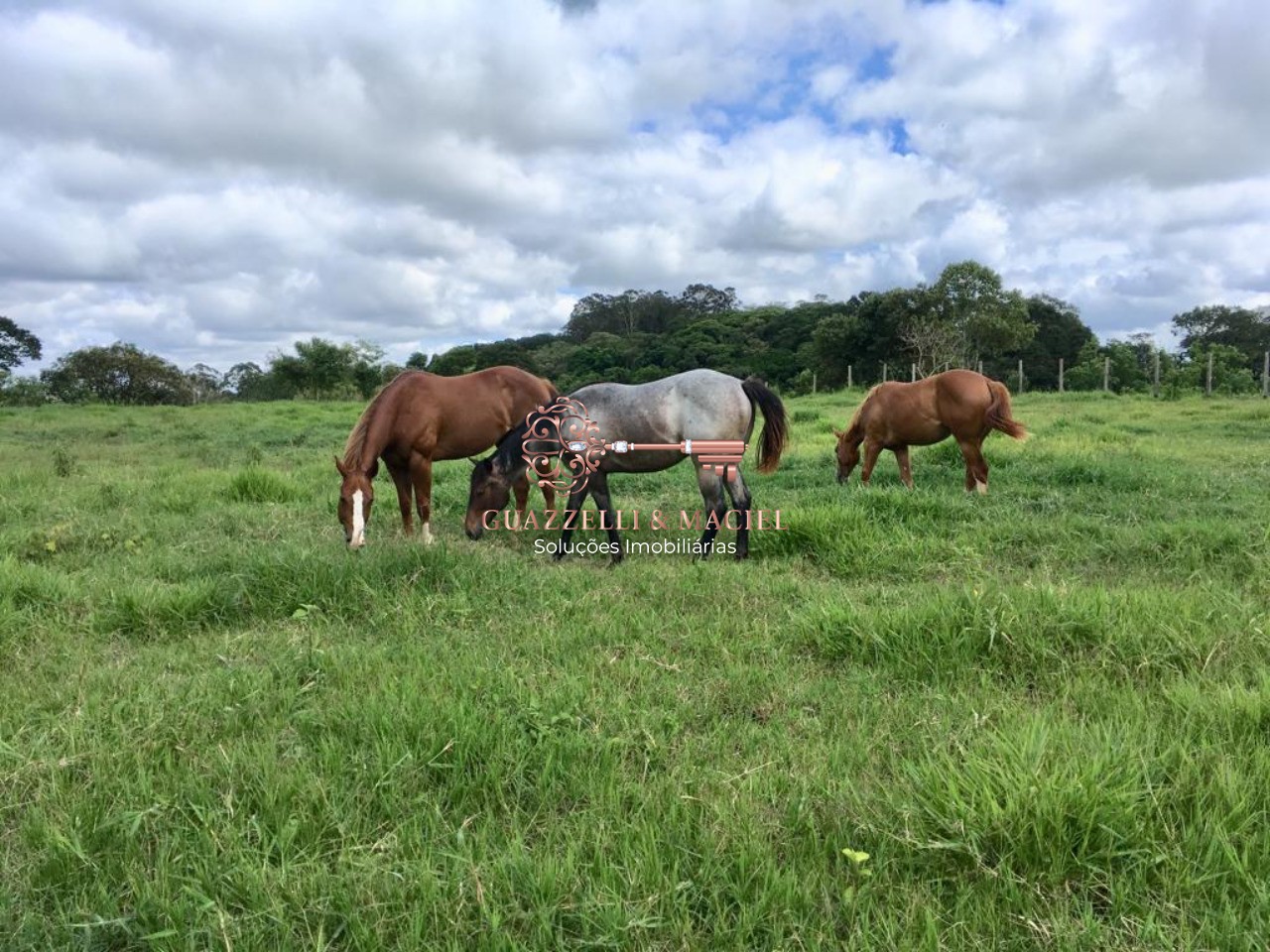 empreendimento turistico em JARDIM GUAÇU, SÃO ROQUE - Foto 14