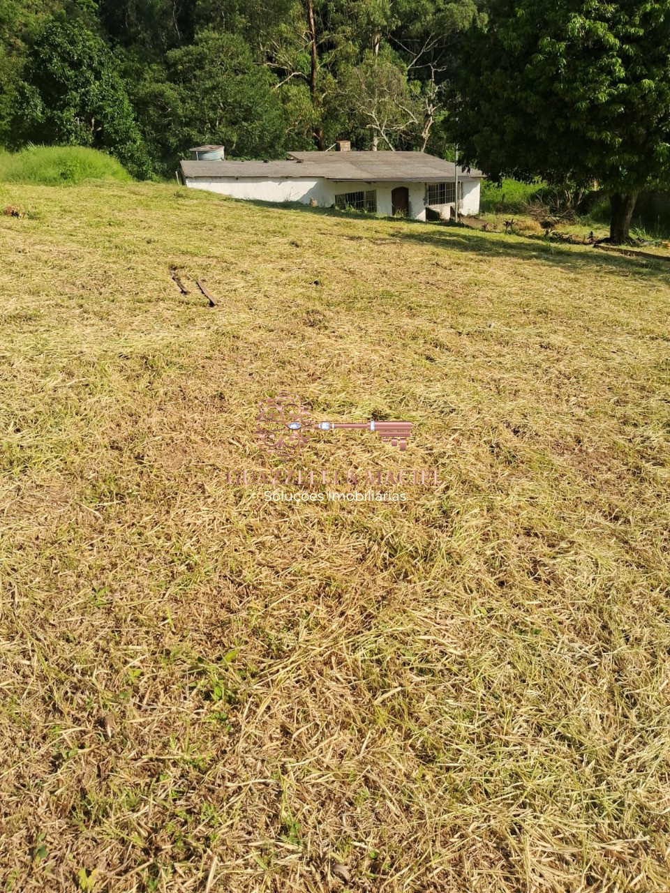 Terreno em Vila Vilma (Mailasqui), São Roque - Terreno para venda,  Vila Vilma (mailasqui), São Roque - Foto 2