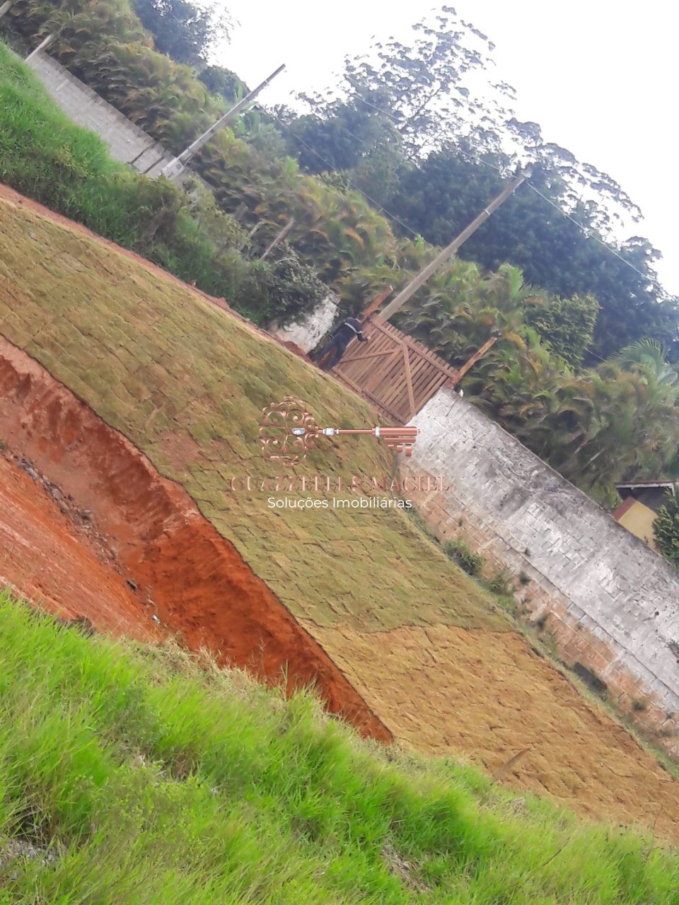 Terreno em CENTRO (MAILASQUI), SÃO ROQUE - Foto 4