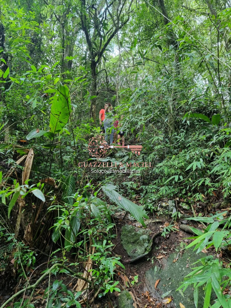 area em SOROCAMIRIM (CANGUERA), SÃO ROQUE - Foto 18
