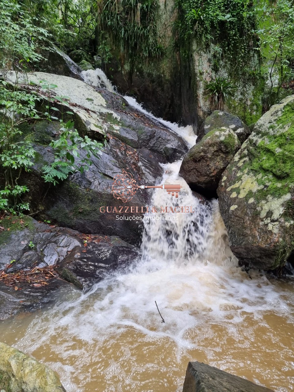 area em SOROCAMIRIM (CANGUERA), SÃO ROQUE - Foto 15