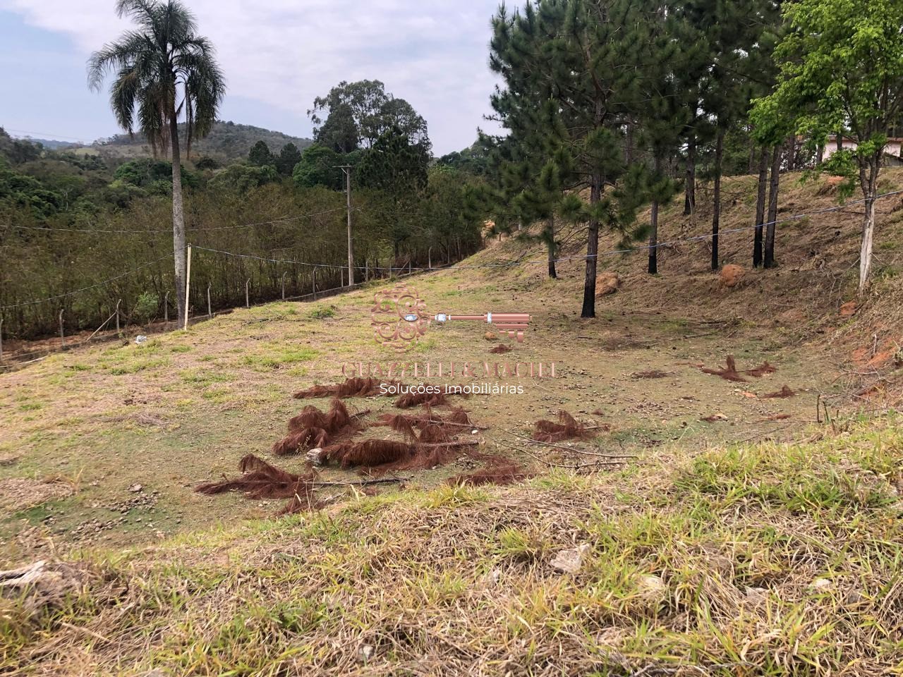 Area em SOROCAMIRIM (CANGUERA), SÃO ROQUE - area em SOROCAMIRIM (CANGUERA) - Foto 2