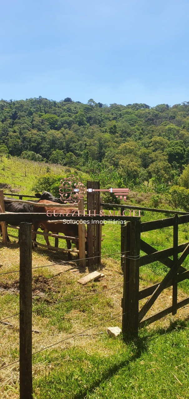 sitio em JUCA ROCHA (MAILASQUI), SÃO ROQUE - Foto 50