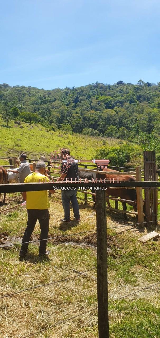 sitio em JUCA ROCHA (MAILASQUI), SÃO ROQUE - Foto 51