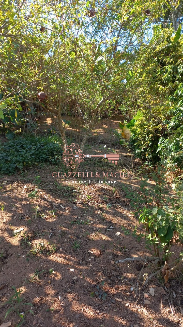 Comercial  em CENTRO (MAILASQUI), SÃO ROQUE - Foto 17