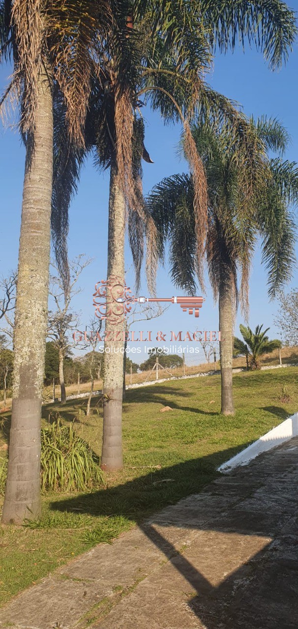 sitio em JUCA ROCHA (MAILASQUI), SÃO ROQUE - Foto 45