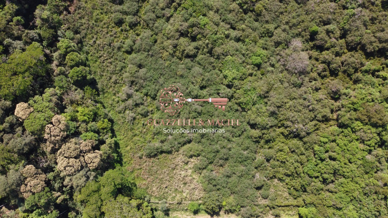 Terreno em PAVÃO (CANGUERA), SÃO ROQUE - Foto 6