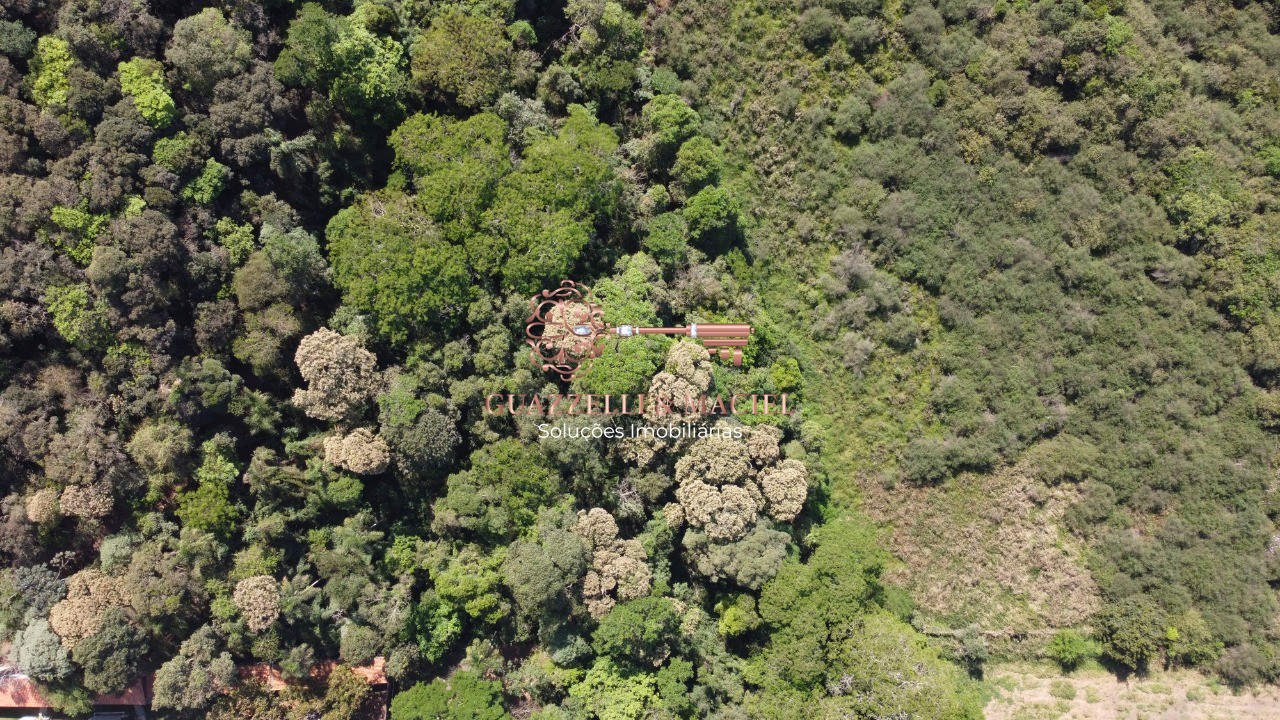 Terreno em PAVÃO (CANGUERA), SÃO ROQUE - Foto 5