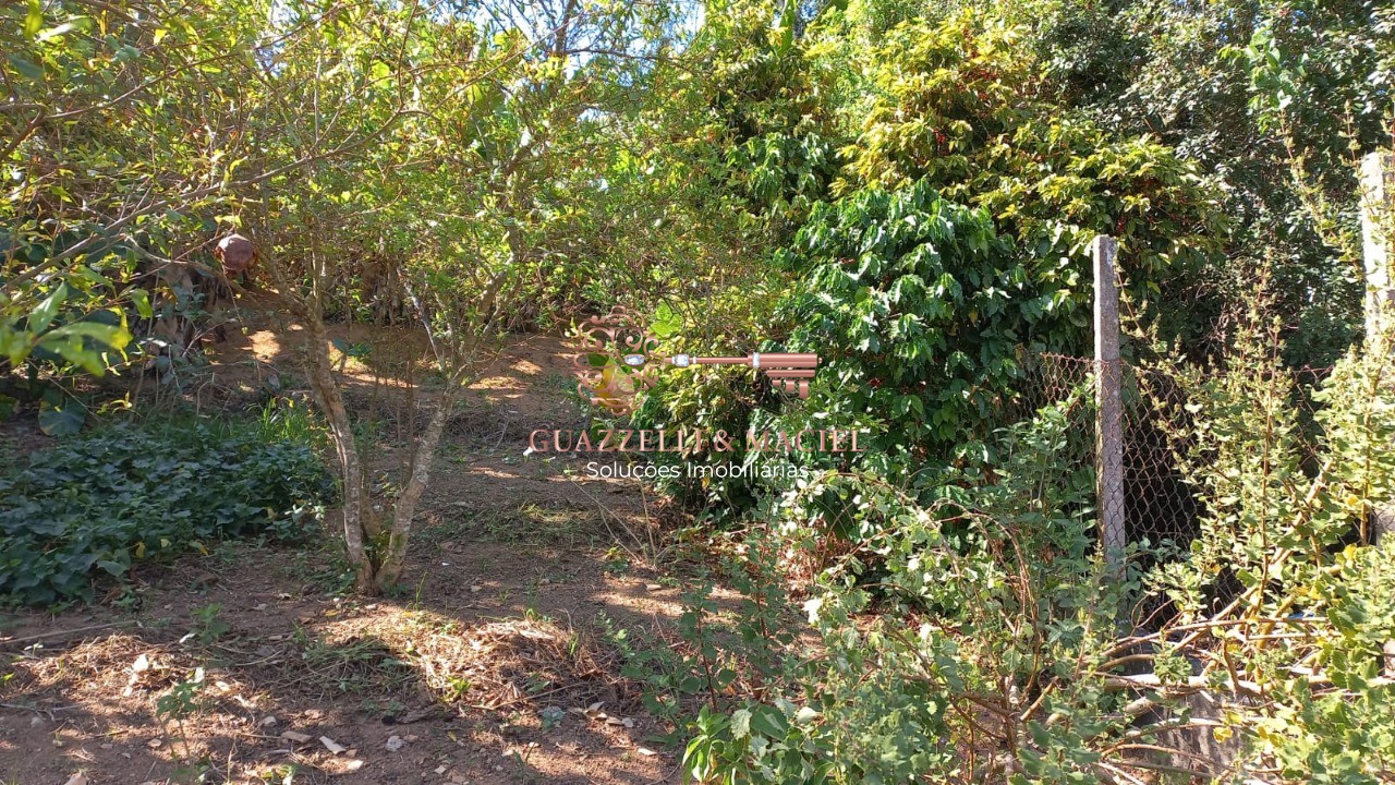 Comercial  em CENTRO (MAILASQUI), SÃO ROQUE - Foto 3