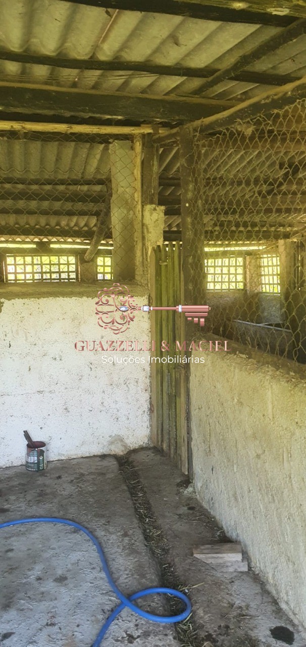 sitio em JUCA ROCHA (MAILASQUI), SÃO ROQUE - Foto 49