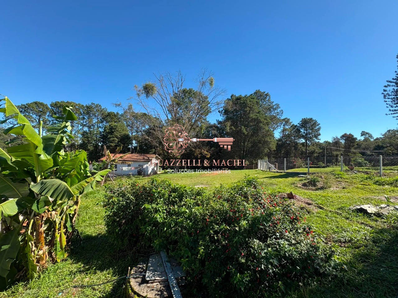 Chácara em SOROCAMIRIM (CANGUERA), SÃO ROQUE - Foto 4