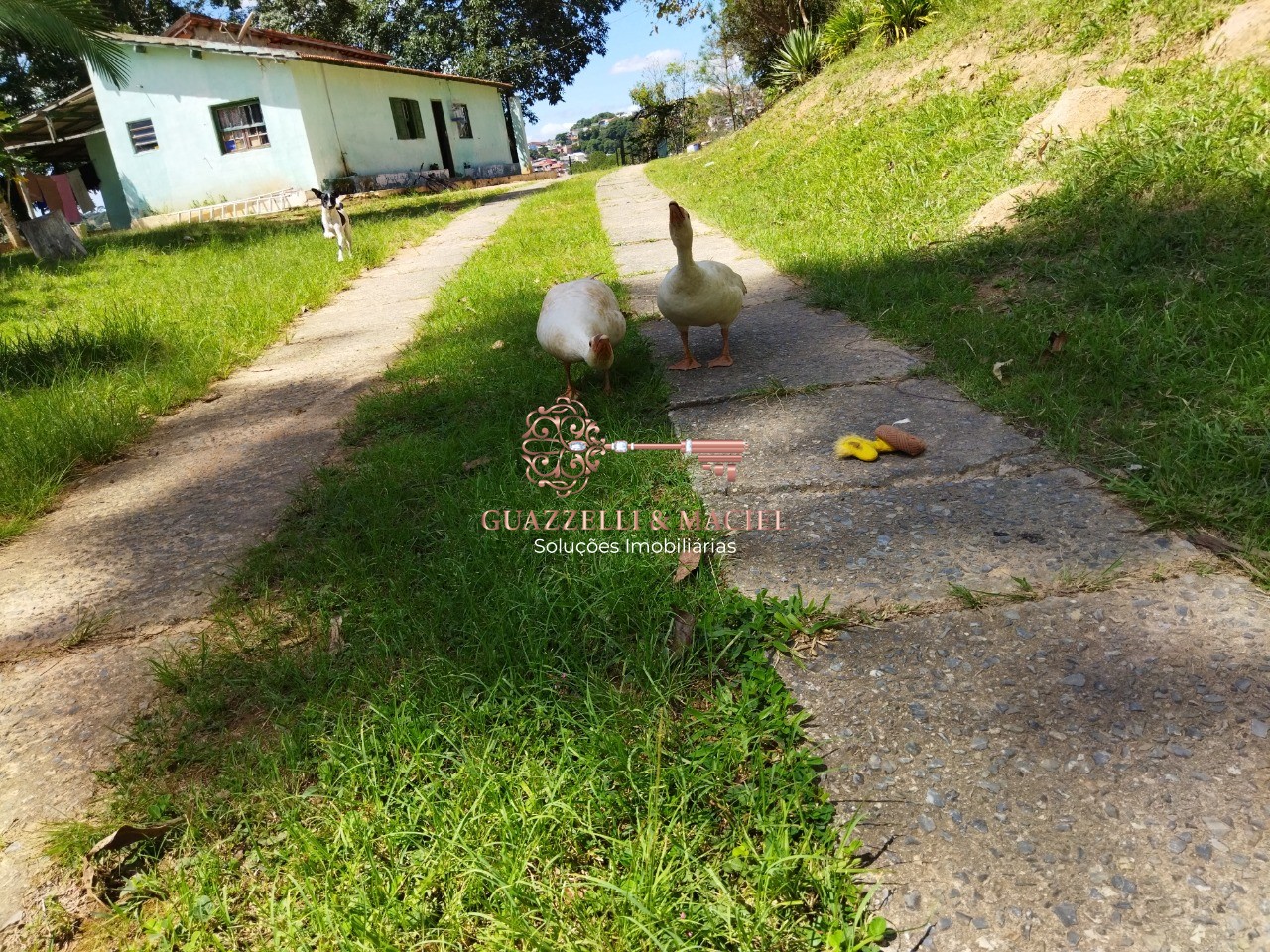 sitio em JARDIM CONCEIÇÃO, SÃO ROQUE - Foto 16