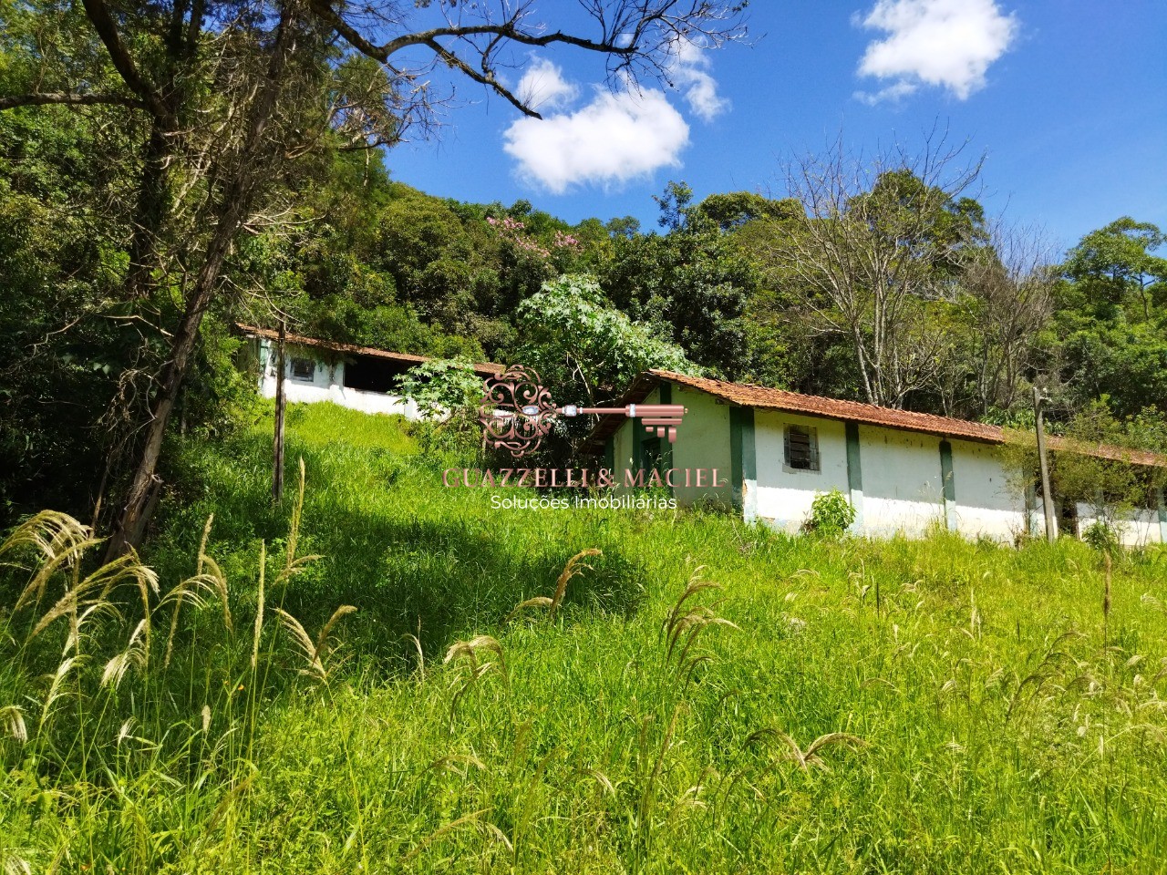 sitio em JARDIM CONCEIÇÃO, SÃO ROQUE - Foto 23