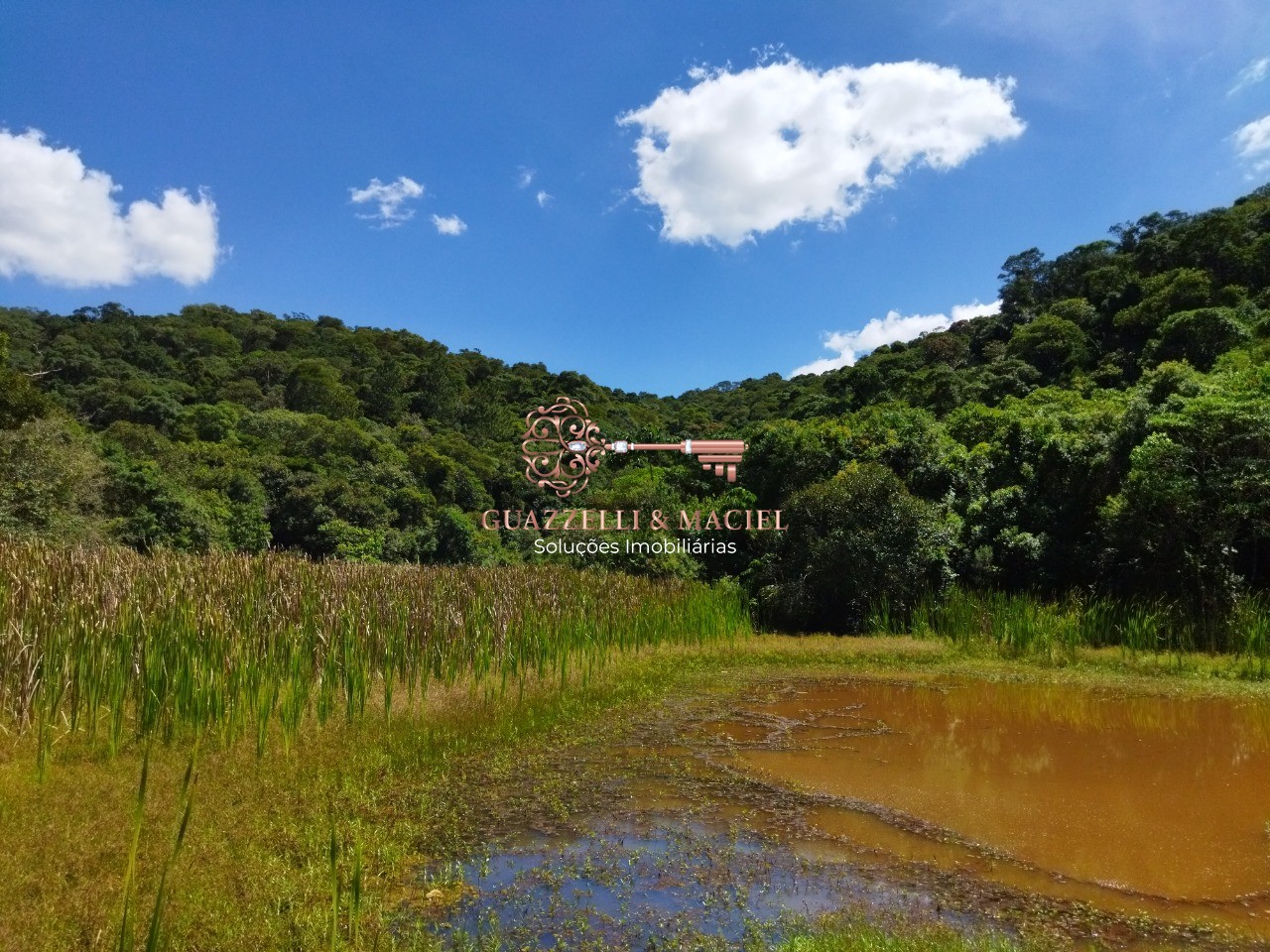 sitio em JARDIM CONCEIÇÃO, SÃO ROQUE - Foto 25