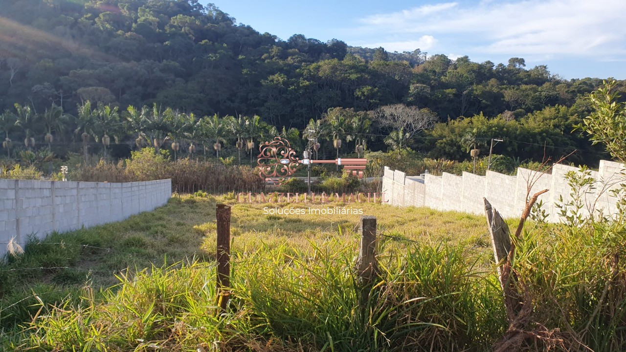 Terreno em VINHEDOS, SÃO ROQUE - Foto 4