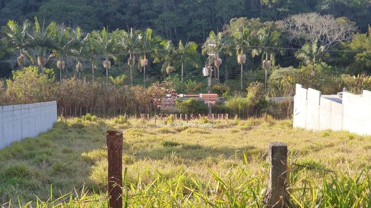 Terreno em VINHEDOS, SÃO ROQUE - Foto 7