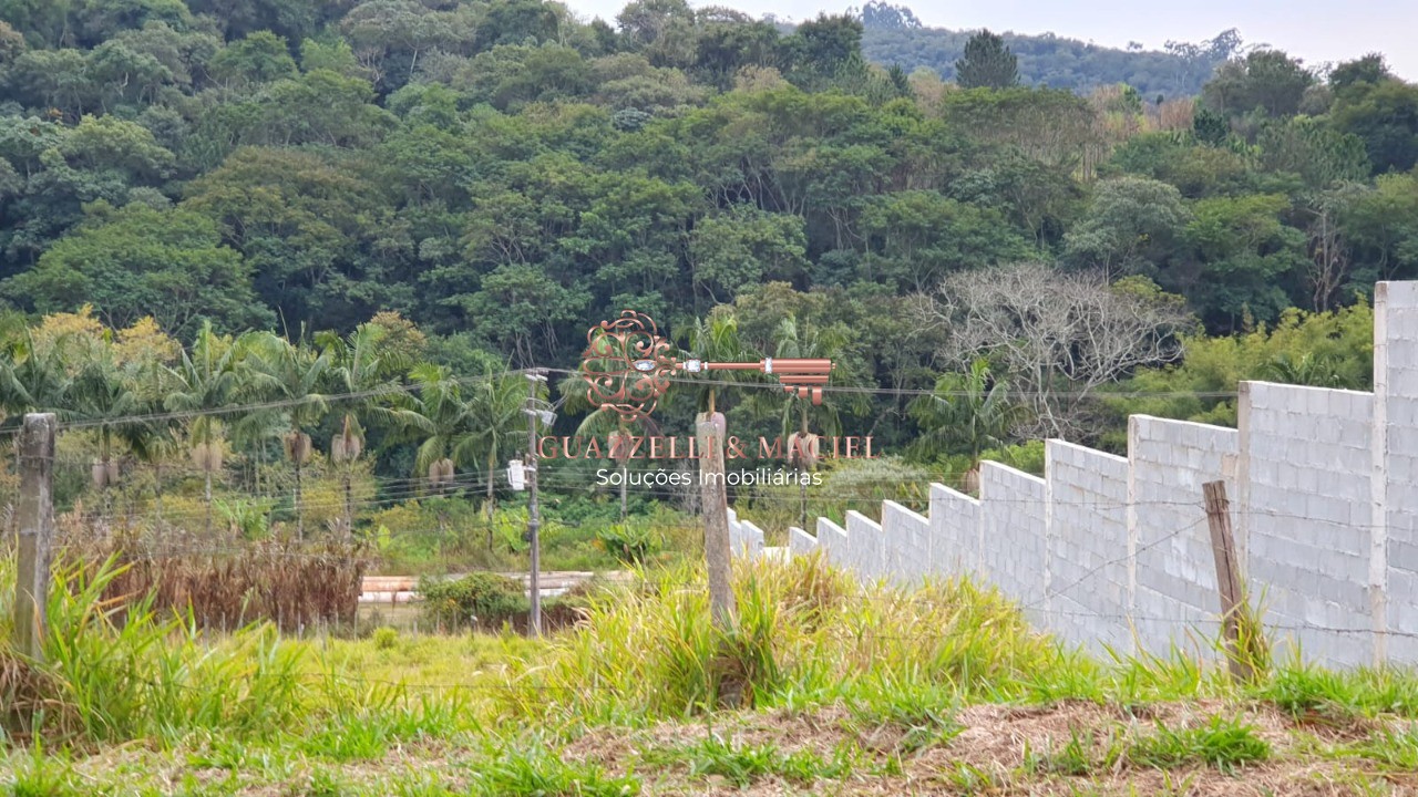 Terreno em VINHEDOS, SÃO ROQUE - Foto 6