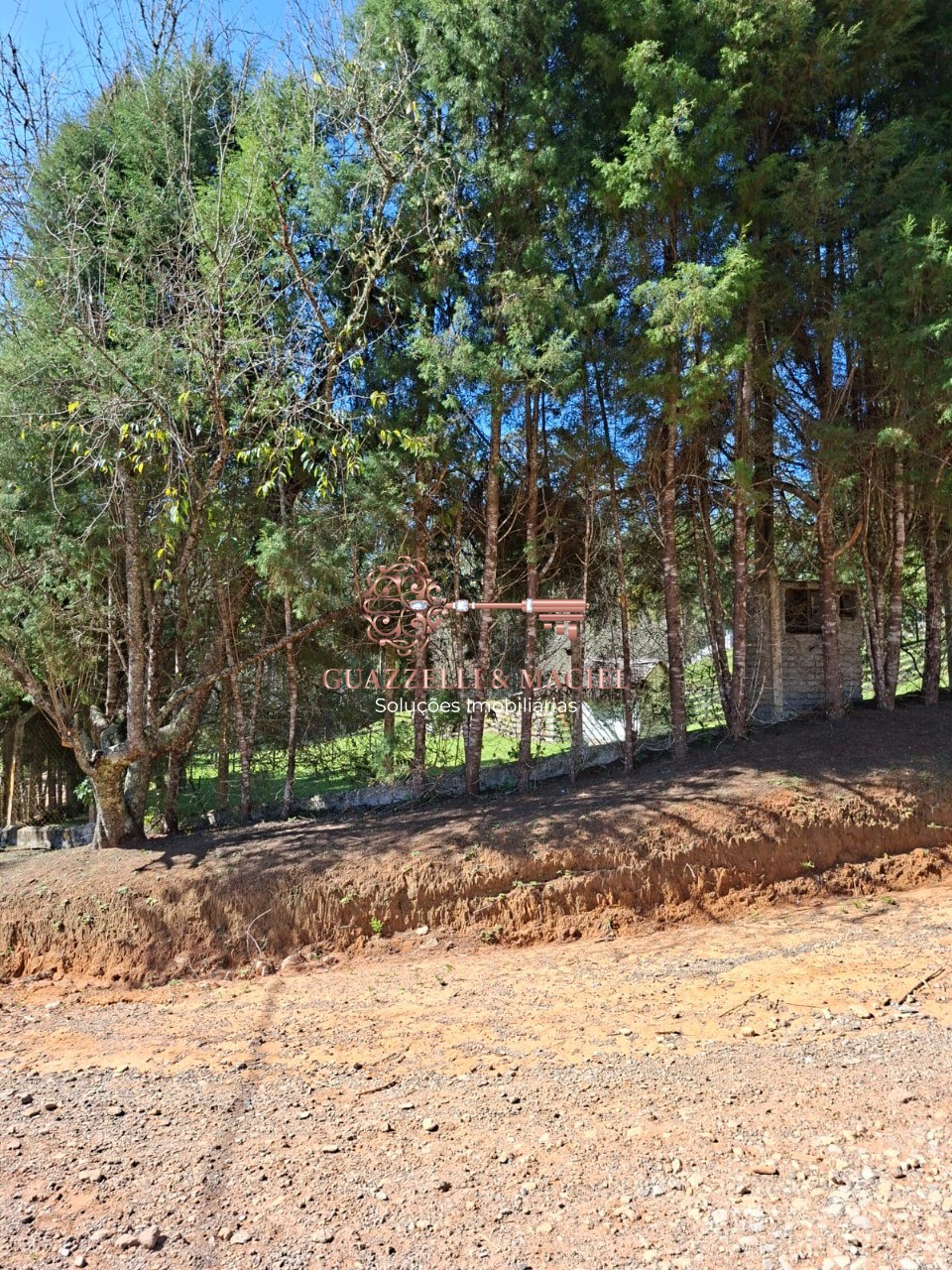 Terreno em Cupim, IBIÚNA - Foto 6