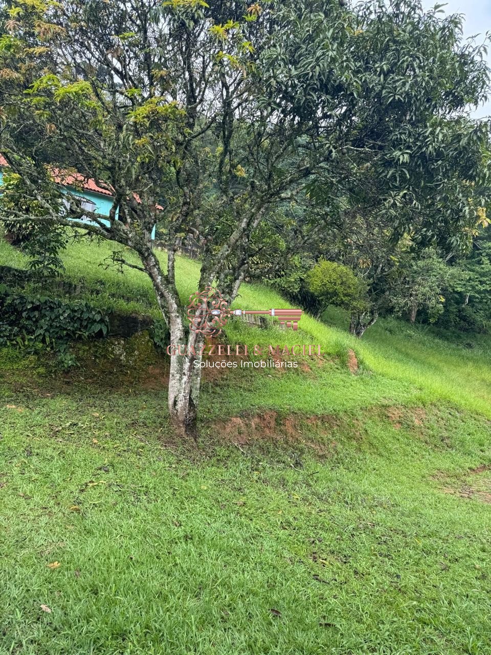 sitio em CENTRO (SÃO JOÃO NOVO), SÃO ROQUE - Foto 6