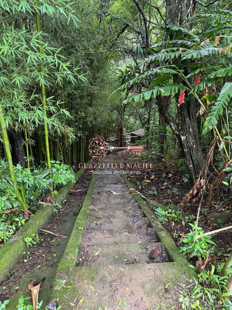 sitio em CENTRO (SÃO JOÃO NOVO), SÃO ROQUE - Foto 10