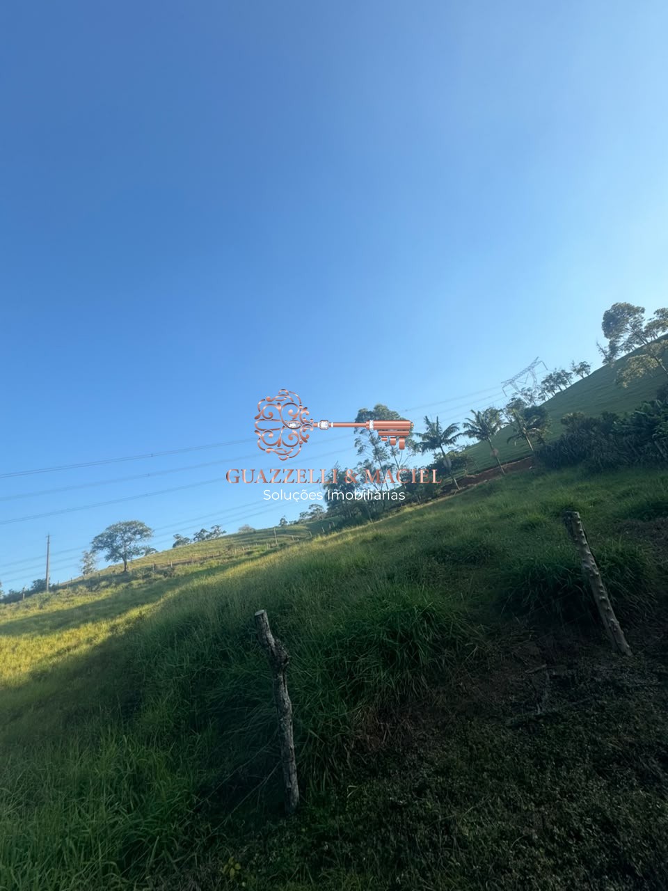 sitio em Bairro dos Alves, IBIÚNA - Foto 10