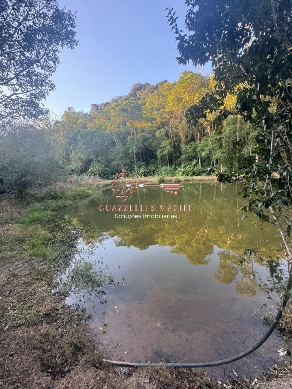 sitio em Bairro dos Alves, IBIÚNA - Foto 22