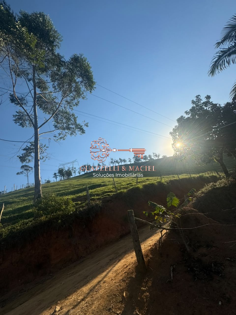 sitio em Bairro dos Alves, IBIÚNA - Foto 20