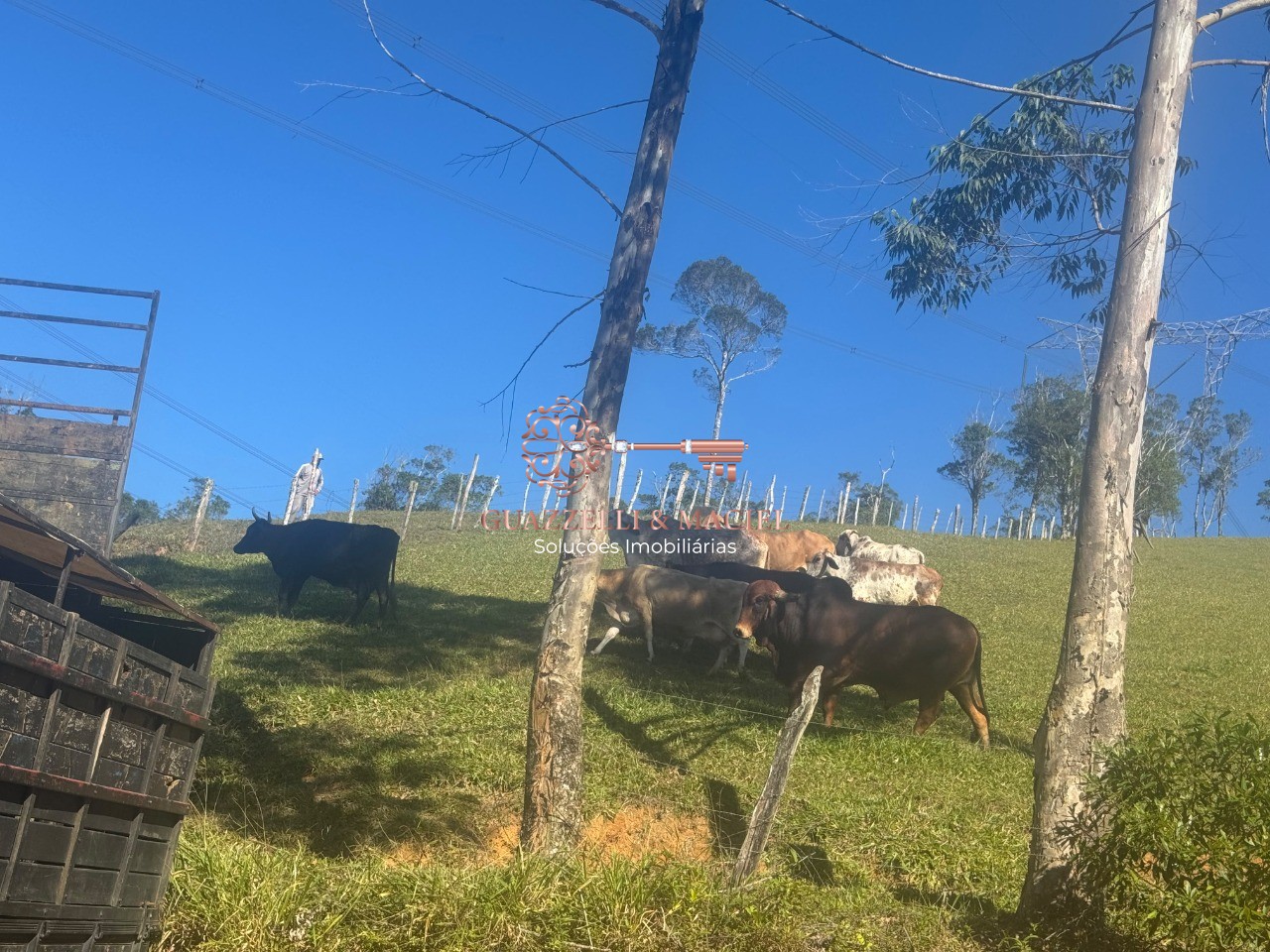 sitio em Bairro dos Alves, IBIÚNA - Foto 17