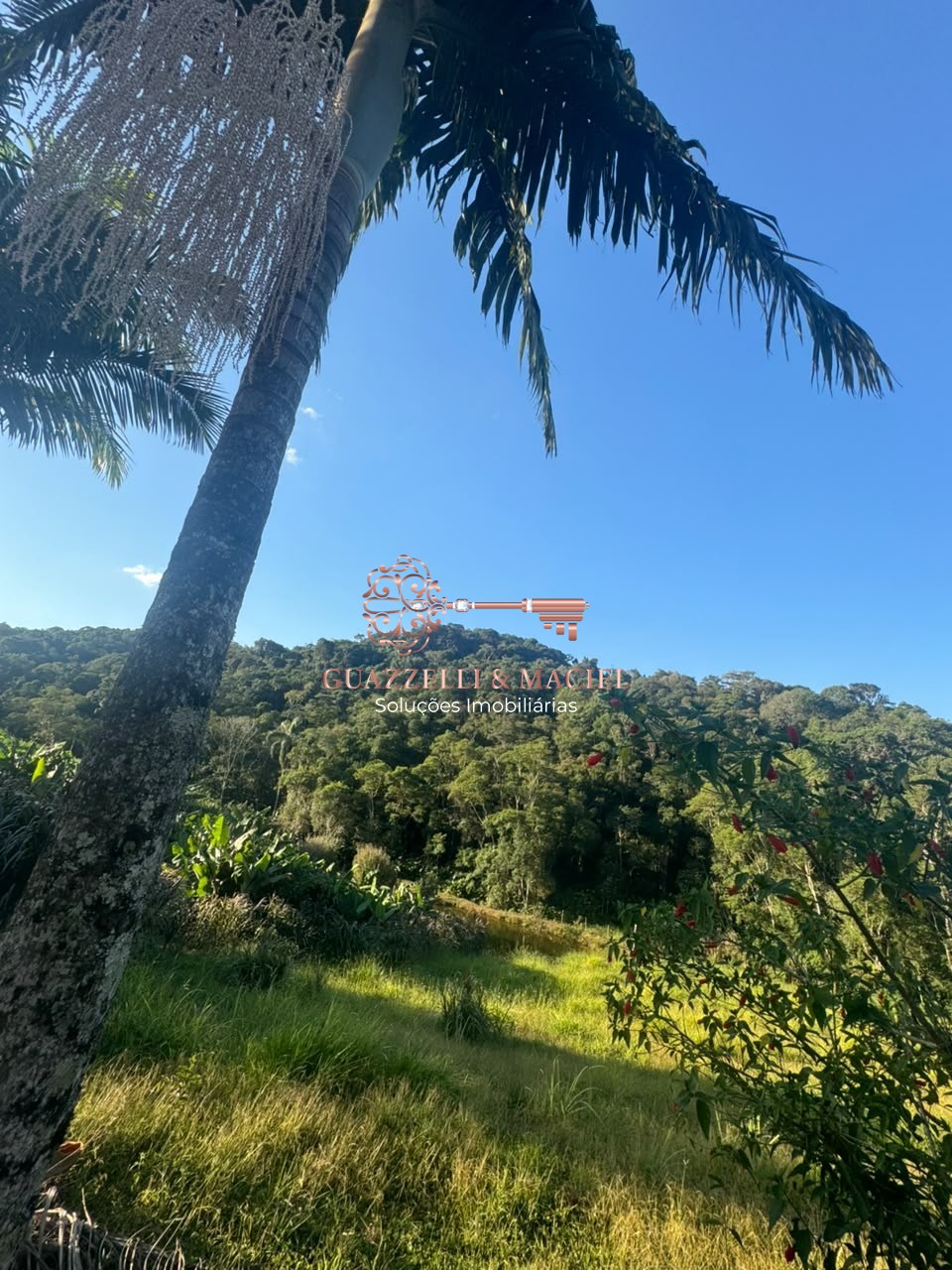 sitio em Bairro dos Alves, IBIÚNA - Foto 28