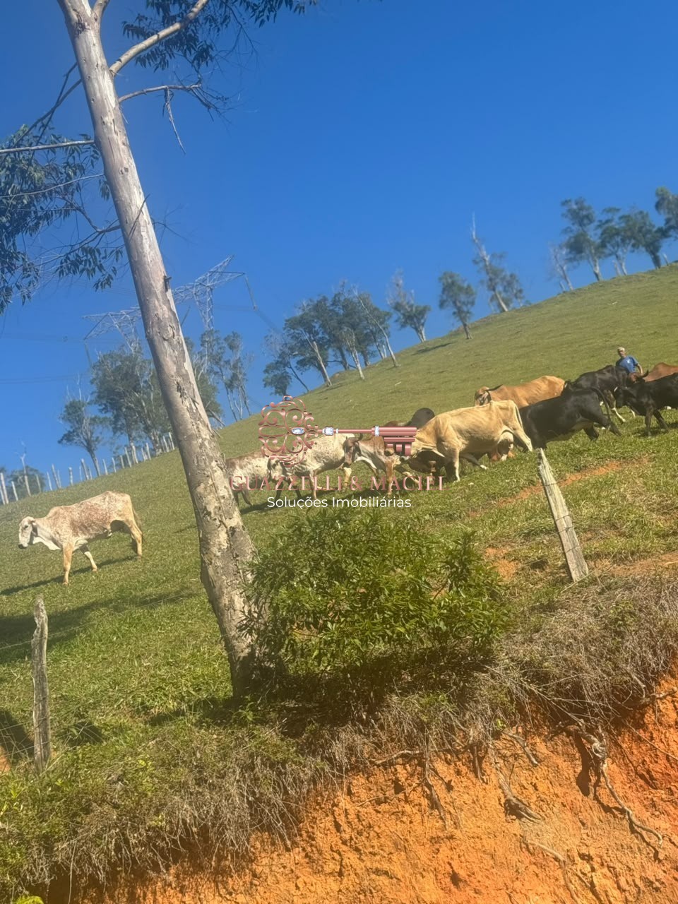 sitio em Bairro dos Alves, IBIÚNA - Foto 29