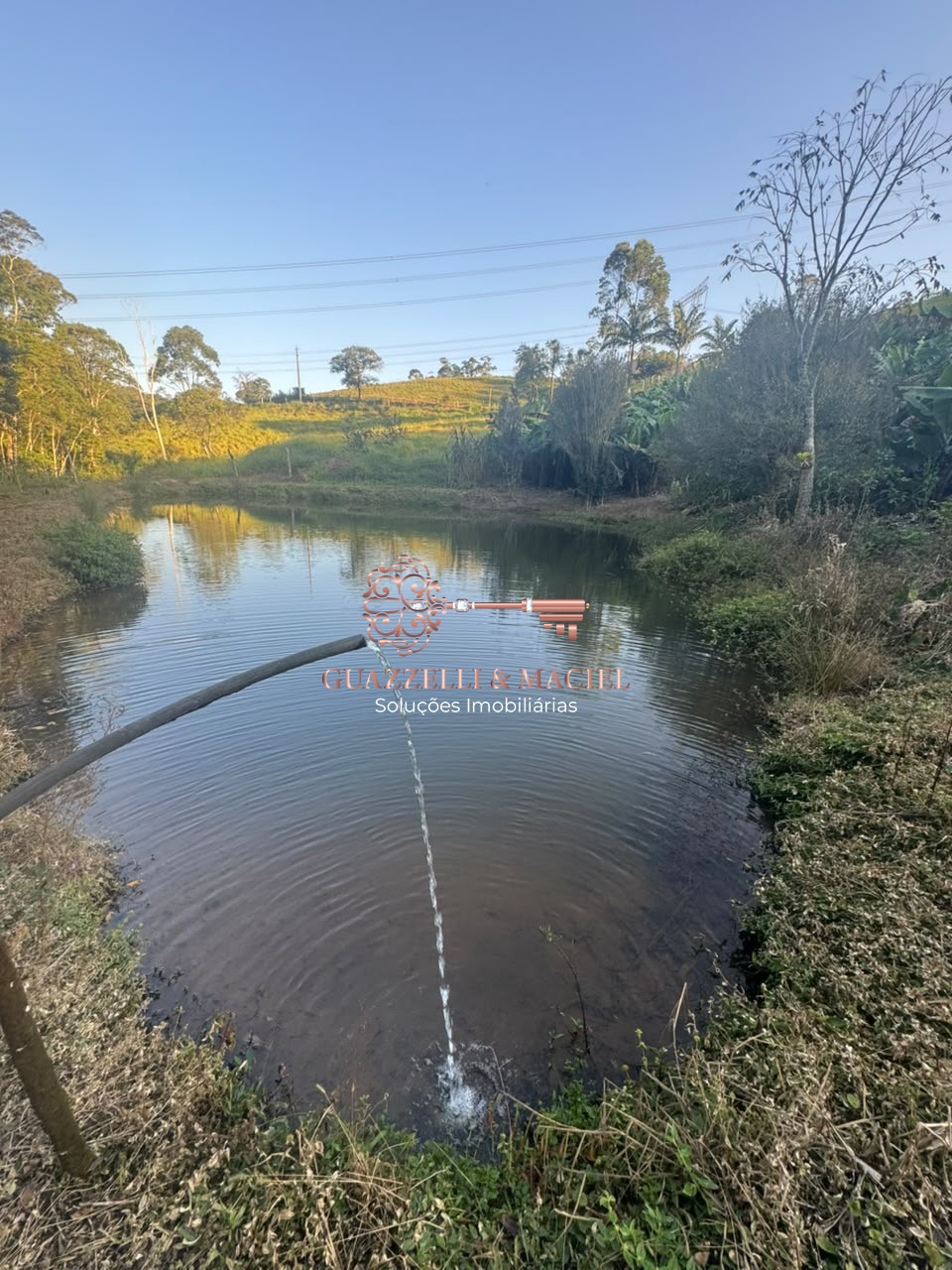 sitio em Bairro dos Alves, IBIÚNA - Foto 7