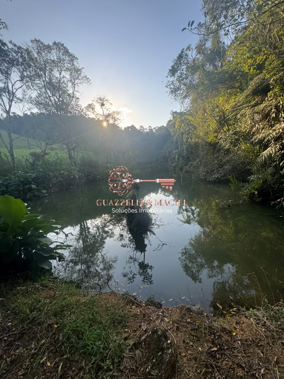 sitio em Bairro dos Alves, IBIÚNA - Foto 27