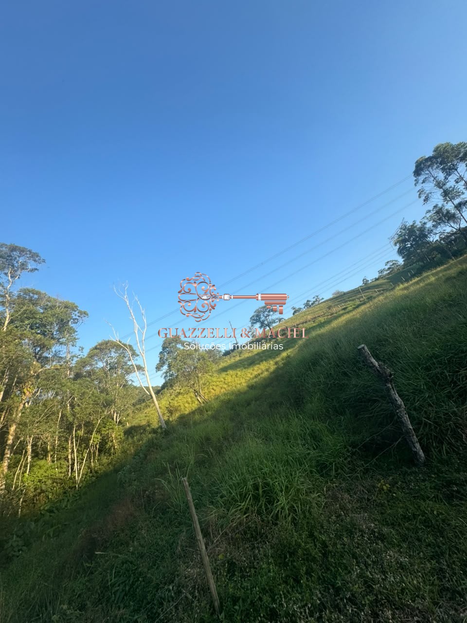sitio em Bairro dos Alves, IBIÚNA - Foto 8