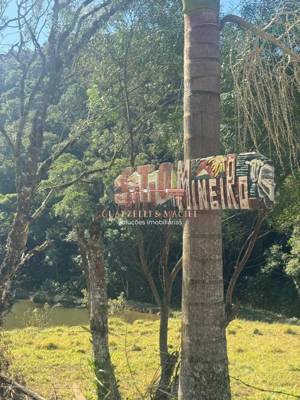 sitio em Bairro dos Alves, IBIÚNA - Foto 12