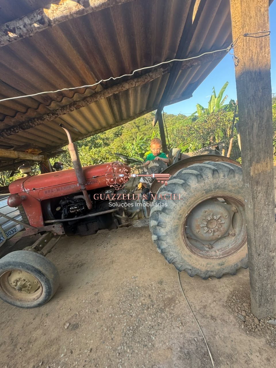 sitio em Bairro dos Alves, IBIÚNA - Foto 15