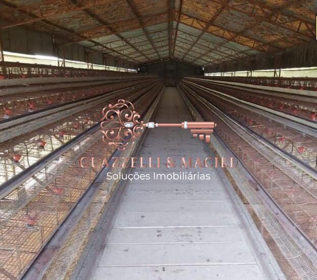 Galp�o para venda, 3 quarto(s),  Vila Santo Ant�nio, S�o Roque