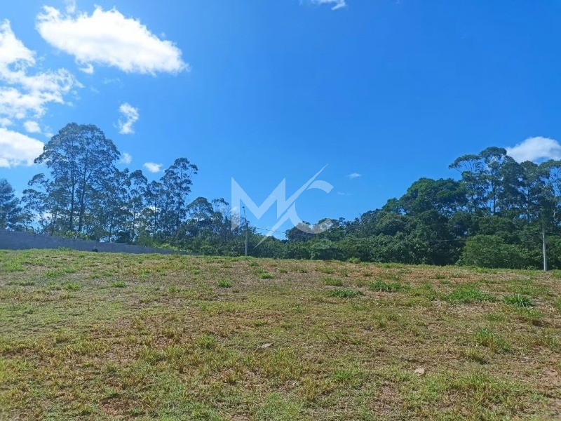 Terreno, 238 m² - Foto 5