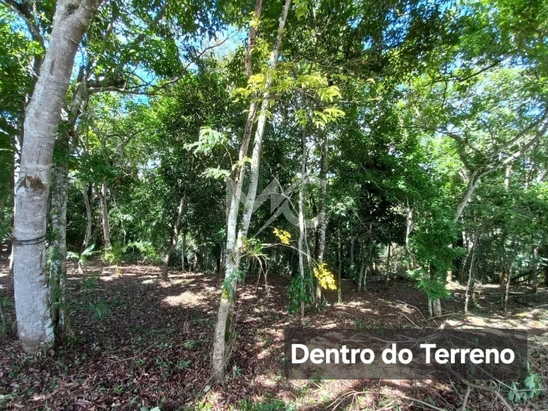 Terreno, 1361 m² - Foto 10