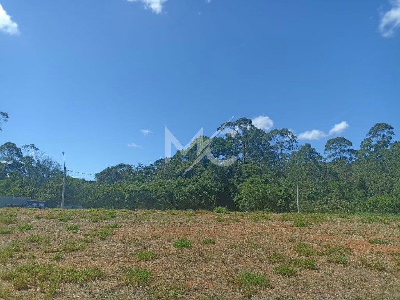 Terreno, 238 m² - Foto 7