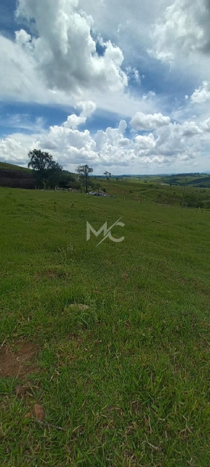Fazenda - Foto 6