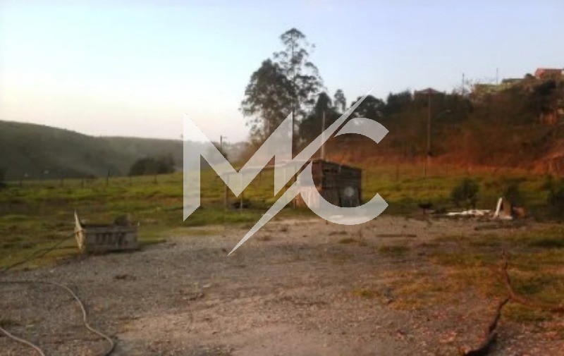 Terreno - Foto 4
