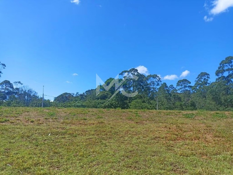 Terreno, 238 m² - Foto 6
